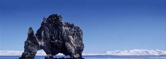 犀牛石Hvítserkur|北部冰岛隐藏在一号环岛公路旁的奇景