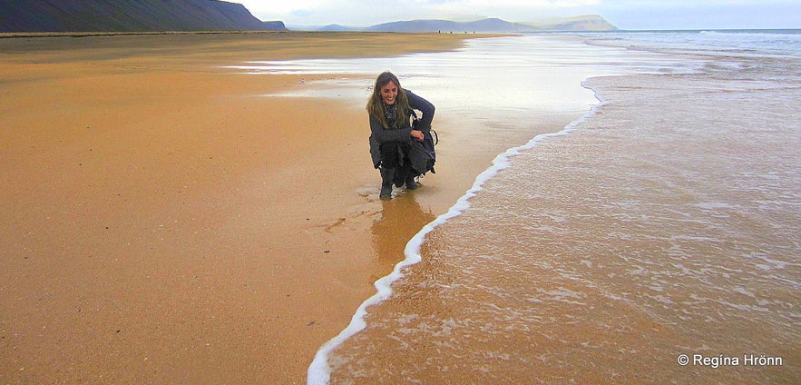 Rauðisandur beach in the Westfjords of Iceland