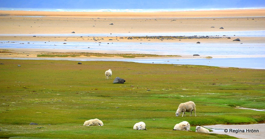 Rauðisandur beach in the Westfjords of Iceland