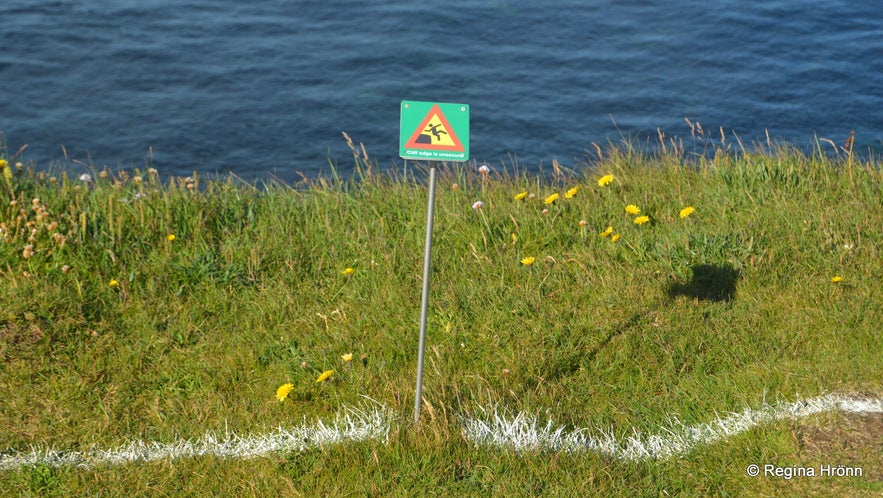 Látrabjarg birdcliff in the Westfjords