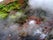 arhver-vellir-in-west-iceland-have-you-ever-seen-a-hot-spring-in-the-middle-of-a-river-6.jpg