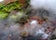 arhver-vellir-in-west-iceland-have-you-ever-seen-a-hot-spring-in-the-middle-of-a-river-6.jpg