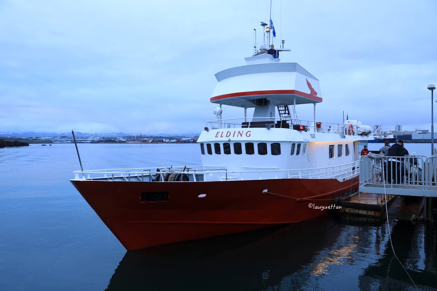 #TeamIceland | 冰島足球世界杯獲邀活動體驗分享---去維迪島(Videy)品嘗最好吃的冰島美食