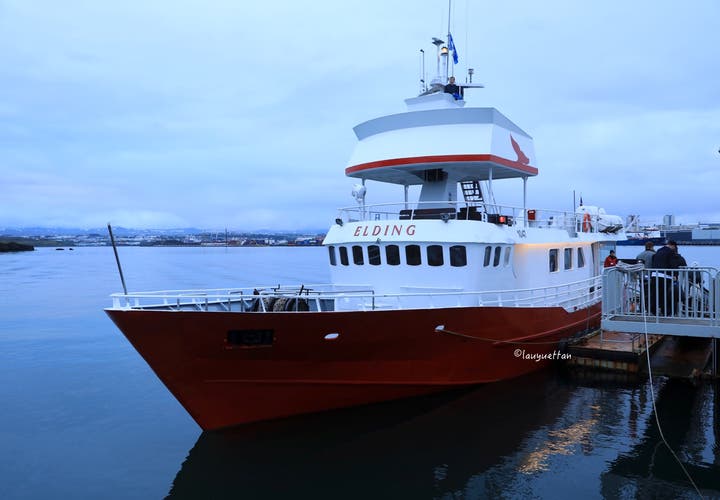 #TeamIceland | 冰島足球世界杯獲邀活動體驗分享---去維迪島(Videy)品嘗最好吃的冰島美食