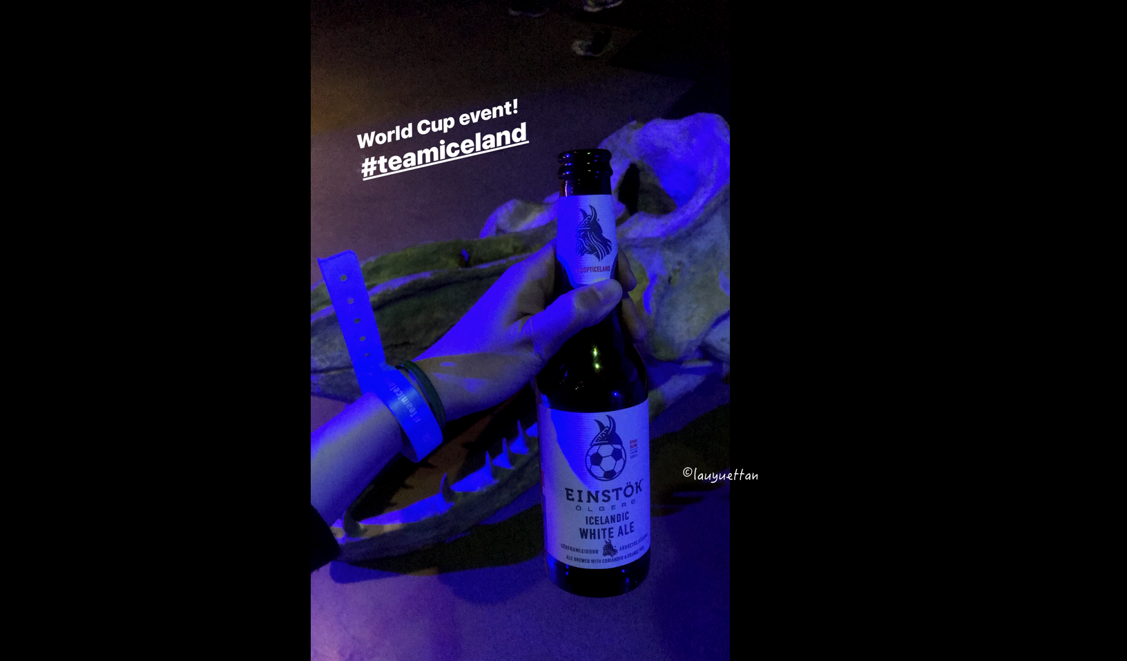 #TeamIceland | 冰島足球世界杯獲邀活動體驗分享---去維迪島(Videy)品嘗最好吃的冰島美食