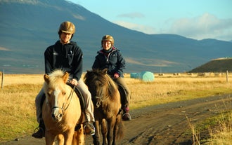 말과 함께 하루를 즐기는 두 명의 여행자.
