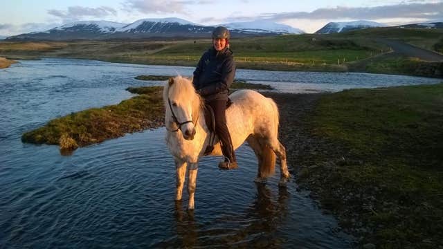 冰岛北部1小时骑马之旅