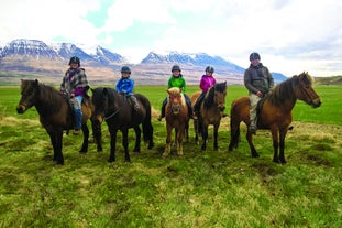 A group of riders planning to head out for a ride in Skagafjörður valley, North Iceland.