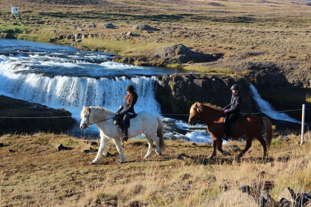Bekijk een van de majestueuze watervallen van Noord-IJsland tijdens deze 3-uur durende paardrijtocht.