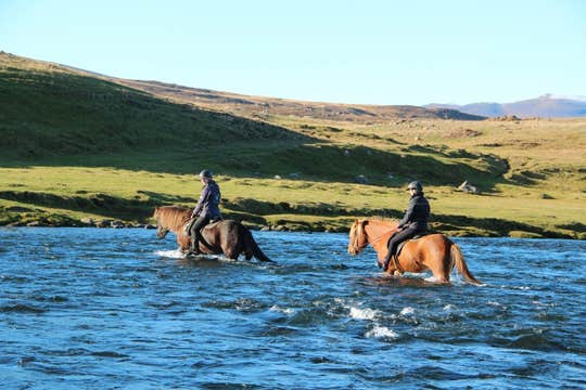 Small-Group 3-Hour Intermediate-Level Horse Riding Tour in North Iceland