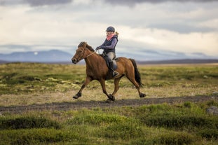 An experienced rider enjoying a ride with a majestic Icelandic horse.