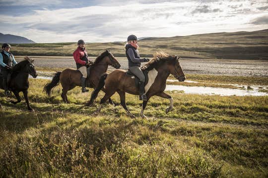 Private 3-Hour Horse Riding Tour in Northwest Iceland for Skilled Riders