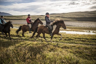 This private horseback riding tour is perfect for couples or groups of up to three.