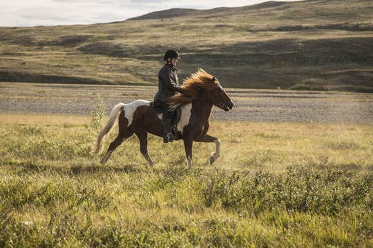 Private 3-Hour Horse Riding Tour in Northwest Iceland for Skilled Riders