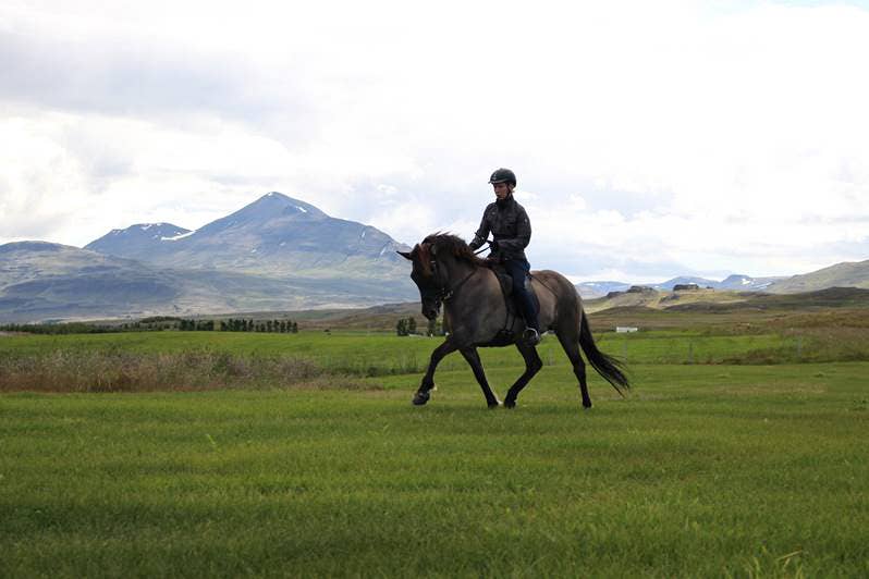 Skilled Riding Private 3-Hour Horse Riding Tour in Northwest Iceland for Skilled ...
