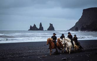 Paseo a Caballo en Playa de Arena Negra desde Vik