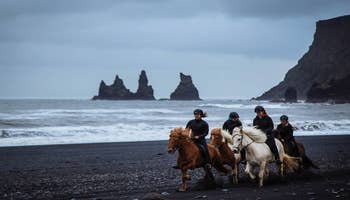 Ridetur på den sorte sandstrand fra Vik  