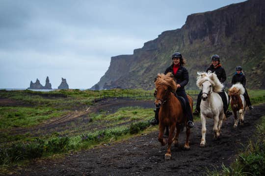 Horse Riding Tour on the Black Sand Beach from Vik