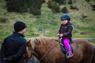 A young girl on horseback, riding an Icelandic horse.