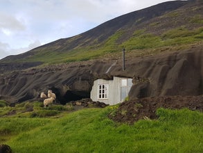 The Laugavatnshellar house with the sheep grazing by the door.