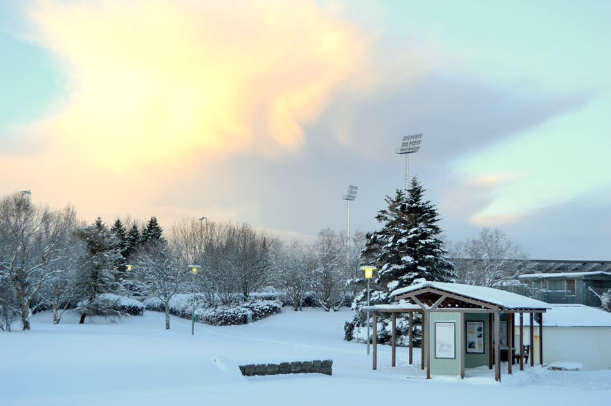 snow-in-the-beautiful-laugardalur-valley-in-reykjavik-8.jpg