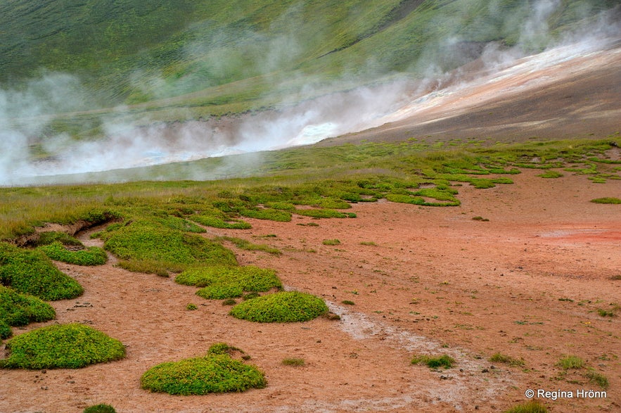 The colourful Þeistareykir Geothermal Area in North-Iceland