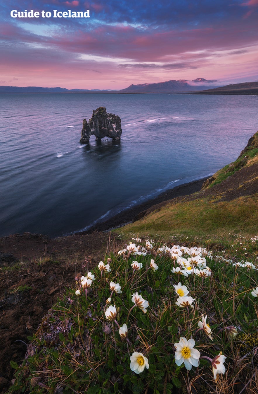 Hvitserkur, as seen from the Vatnsnes Peninsula in summer.