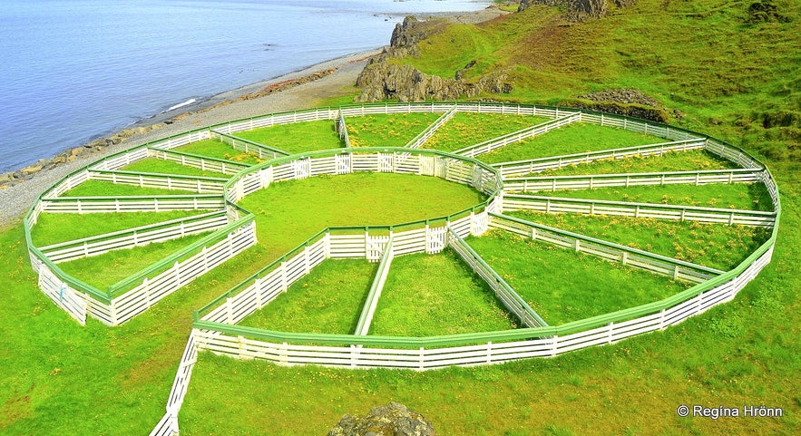 Hamarsrétt sheepcote on the Vatnsnes peninsula