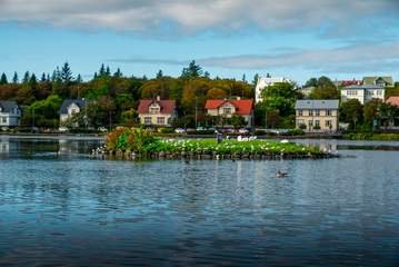 Tjörnin _ Reykjavík _ Summer _ edited _ 2018 _ September (3).jpg