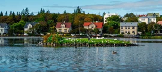 Tjörnin _ Reykjavík _ Summer _ edited _ 2018 _ September (3).jpg