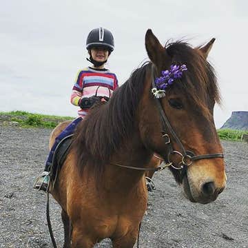 冰岛南岸维克镇30分钟骑马旅行团