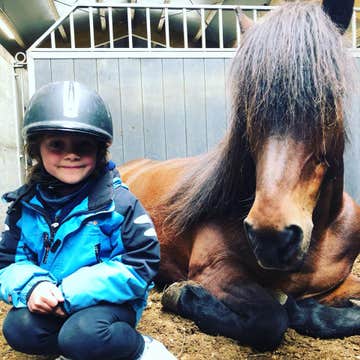 冰岛南岸维克镇30分钟骑马旅行团