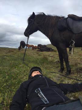 Midnight Sun Horse Riding Tour in East Iceland from Egilsstadir