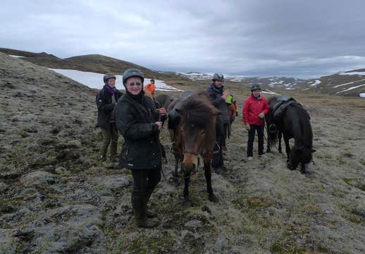 Midnight Sun Horse Riding Tour in East Iceland from Egilsstadir