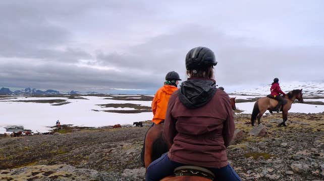 Midnight Sun Horse Riding Tour in East Iceland from Egilsstadir