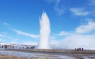 Strokkur in Geysir area erupts with boiling water to impressive heights.