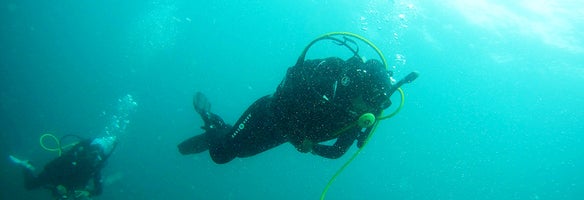 Diving Tours