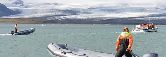 Bedste bådture på Island