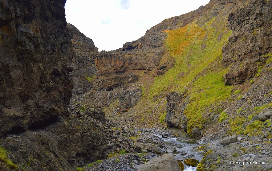 Kotagil Gorge in North-Iceland