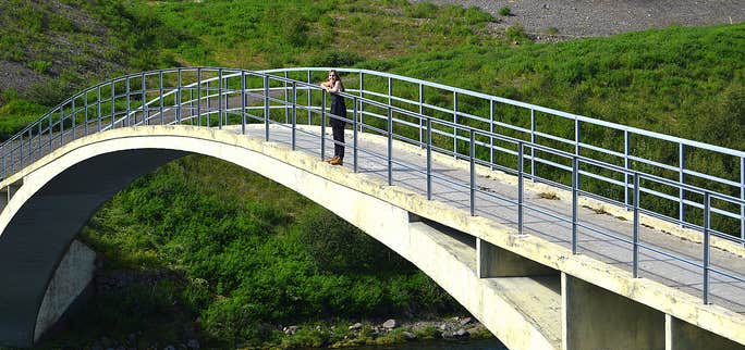 A Visit to Fnjóskadalur Valley & a Cute Petting Zoo in North Iceland