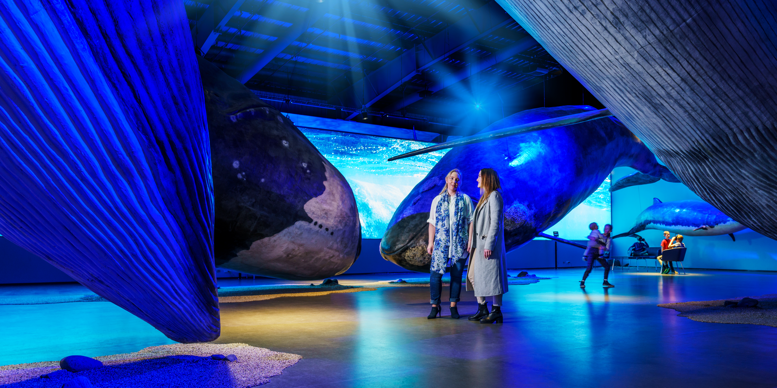 Two women enjoying the exhibition at the Whales of Iceland Museum.
