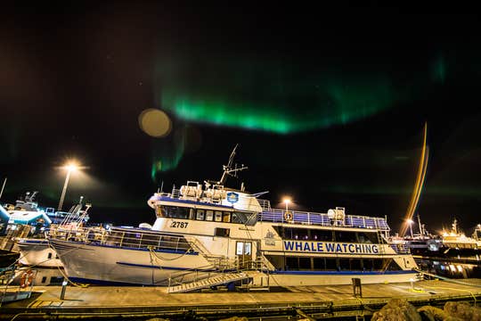 Northern Lights Boat Tour from Reykjavik with Whale Museum Backup Option