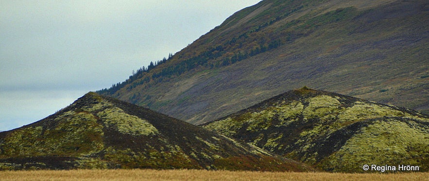 Pseudocraters in Aðalhraun North-Iceland