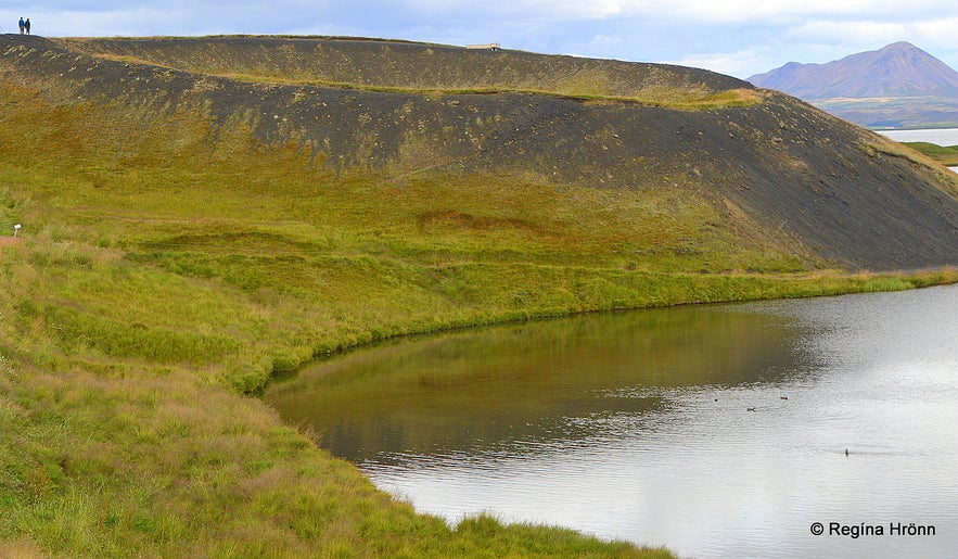 Skútustaðagígar pseudo craters by Lake Mývatn