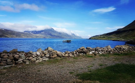 A broken down pier in an small village in the Westfjords.