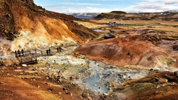 Reykjanes Tour in Small Group | Optional Drop Off at the Blue Lagoon or Keflavik Airport