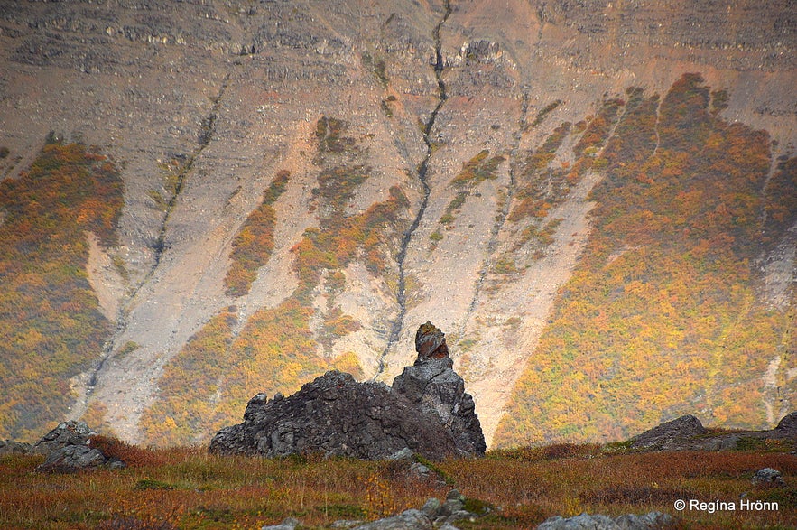 Fnjóskadalur valley