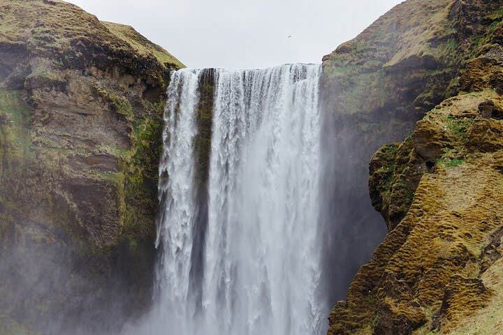 Private 14-Hour Jokulsarlon Glacier Lagoon and South Coast Tour from Reykjavik with Photos