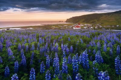 Utsikt över den vackra Vikurkirkja kyrka och Reynisdrangar havspelare på Sydkusten.