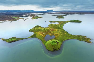 Sjön Myvatn har ett rikt fågelliv på sommaren.